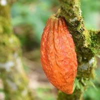 Group Profile Picture